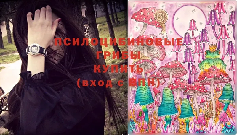 Псилоцибиновые грибы MAGIC MUSHROOMS  Кимры 